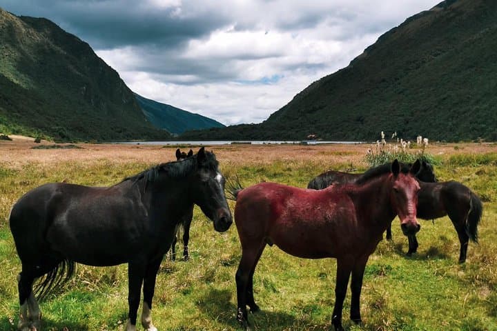Hike El Cajas Beyond the Common Trail to Llaviucu Lake photo 6