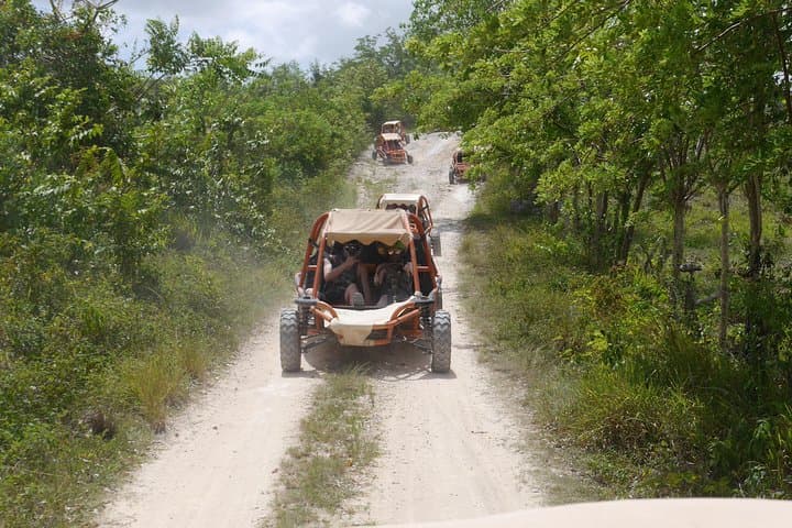 Family Buggy Adventure in Bávaro — Off-Road Tour in Punta Cana photo 3