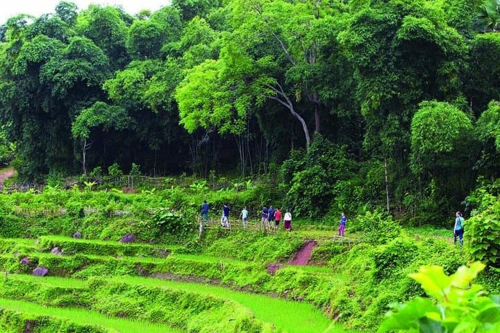 Mai Chau Valley Trekking: Day Hike Through Thai Villages & Rice Terraces photo 2