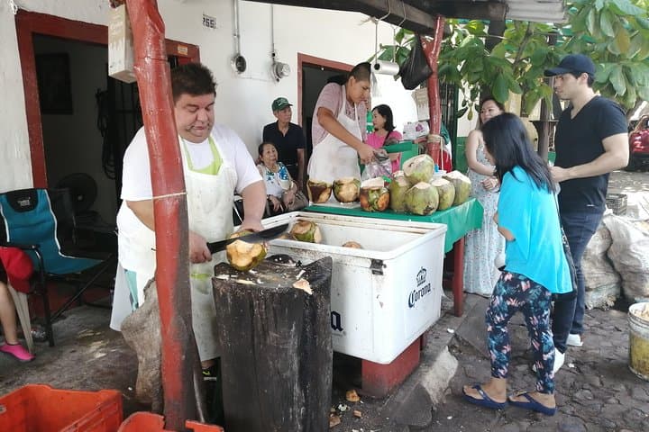 Private Puerto Vallarta City Tour for 1–10 Passengers — Van, Tequila Tasting & Local Sights photo 4