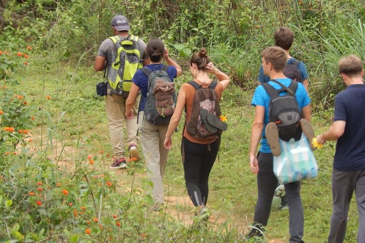 Knuckles Spice Trail Trek from Kandy — Day Hike Through Cloud Forest, Waterfalls & Village Spice Gardens photo 6