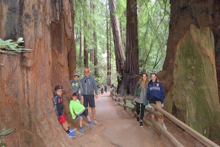 San Francisco to Muir Woods & Sausalito: Private Redwoods-to-Coast Day Tour