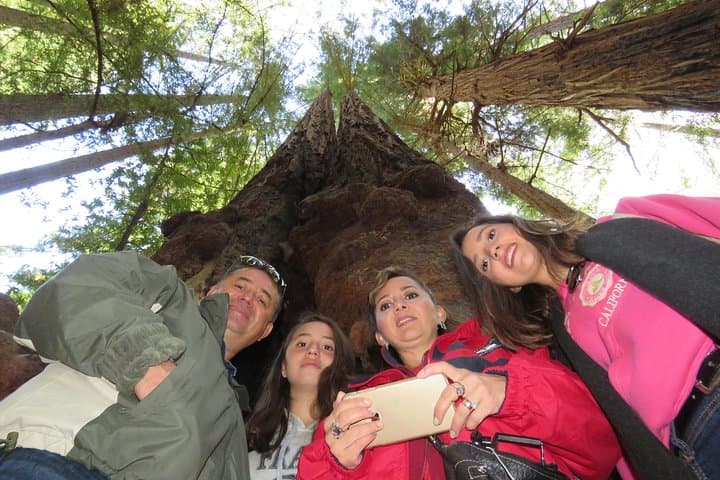 San Francisco to Muir Woods & Sausalito: Private Redwoods-to-Coast Day Tour photo 3
