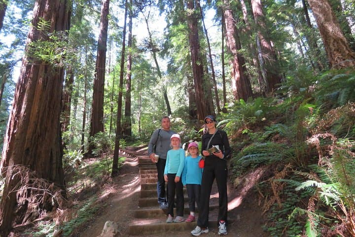 San Francisco to Muir Woods & Sausalito: Private Redwoods-to-Coast Day Tour photo 5