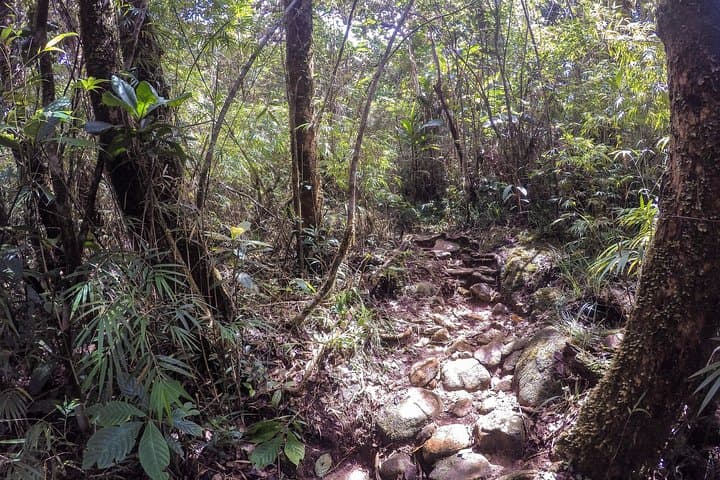 Knuckles Leopard Trail Trek from Kandy — Day Hike in Sri Lanka's Knuckles Range photo 6
