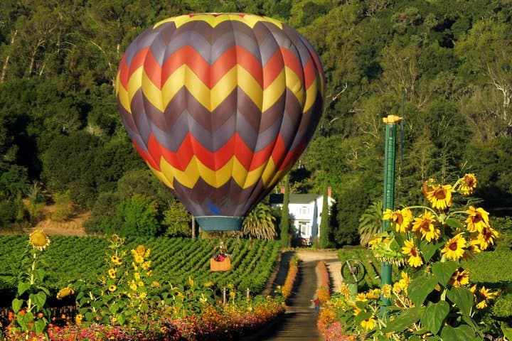 Napa Hot Air Balloon Ride & Private Wine Tasting from San Francisco