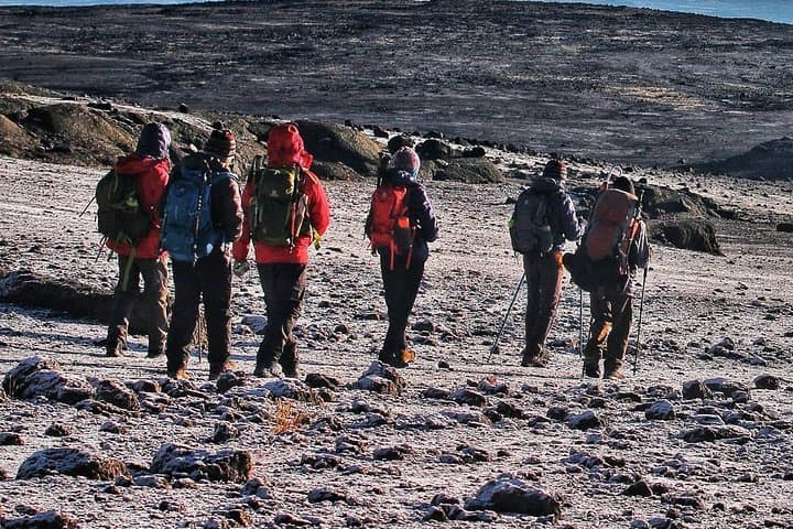 8-Day Kilimanjaro Lemosho Route: Detailed Itinerary, Tips & Gear
