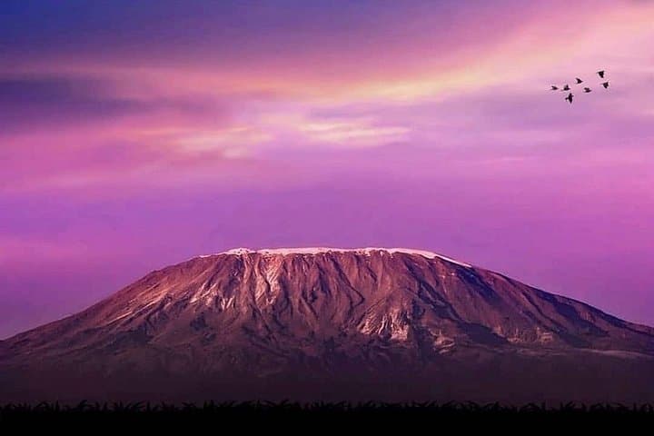 Day Hike to Mount Kilimanjaro’s Mandara Hut — Day Trip from Arusha photo 2