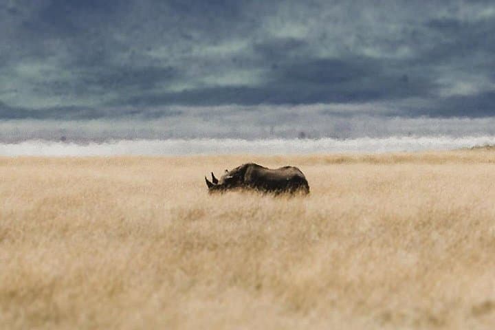 Private Ngorongoro Crater Day Trip: Full-Day Safari from Arusha photo 2