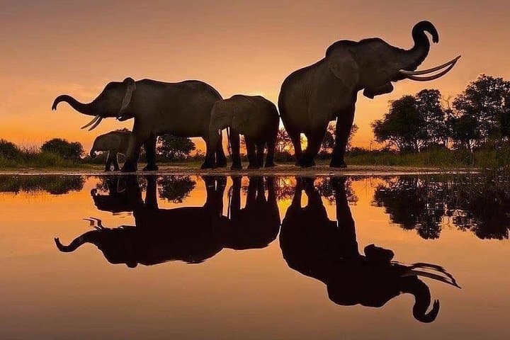 Private Ngorongoro Crater Day Trip: Full-Day Safari from Arusha