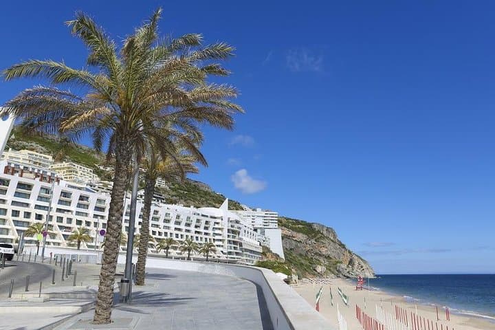 Half-Day Private Tour to Arrábida from Lisbon — Beaches, Cliffs & Sesimbra photo 6