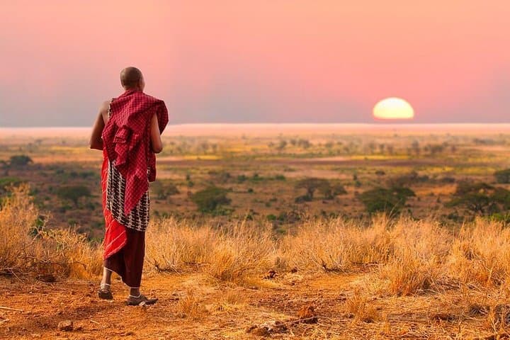 3-Day Serengeti & Ngorongoro Camping Safari: Big Five and the Great Migration