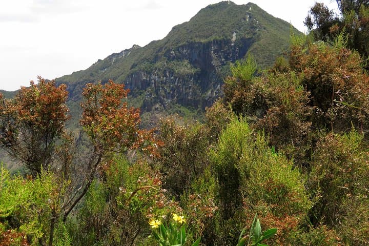 Summit Mount Longonot: Day Hike to the Rift Valley Crater Rim