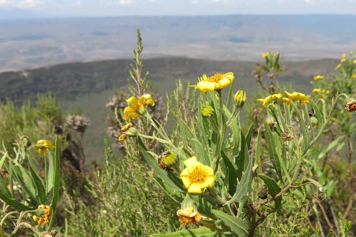 Summit Mount Longonot: Day Hike to the Rift Valley Crater Rim photo 2