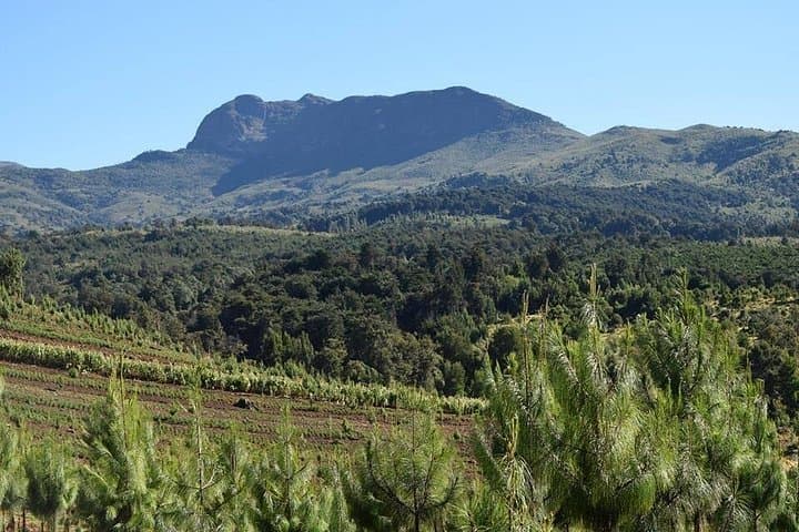 Aberdares National Park Day Trip: Waterfalls, Wildlife & High-Altitude Trails photo 1