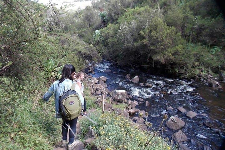 Aberdares National Park Day Trip: Waterfalls, Wildlife & High-Altitude Trails photo 3