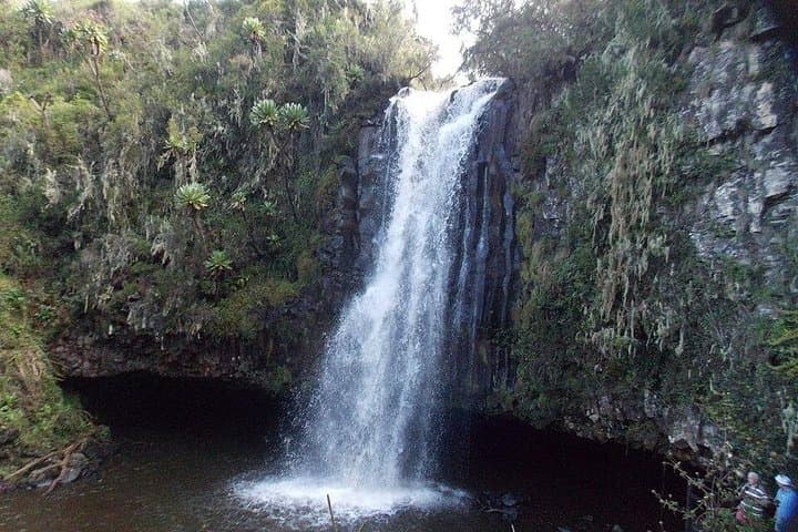 Aberdares National Park Day Trip: Waterfalls, Wildlife & High-Altitude Trails photo 4