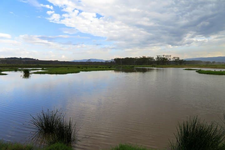 Lake Nakuru Day Safari: Flamingos, Rhinos & Rift Valley Cliffs photo 6