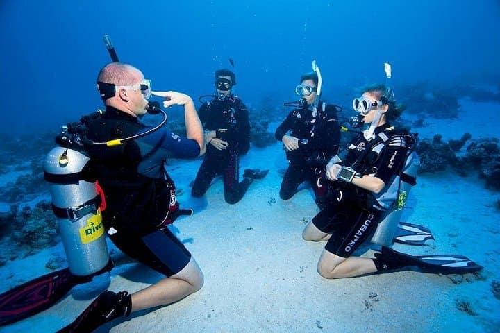 Alanya Scuba Diving: 2-Dive Boat Tour to Reefs, Wrecks & Caves (Side, Antalya) photo 4