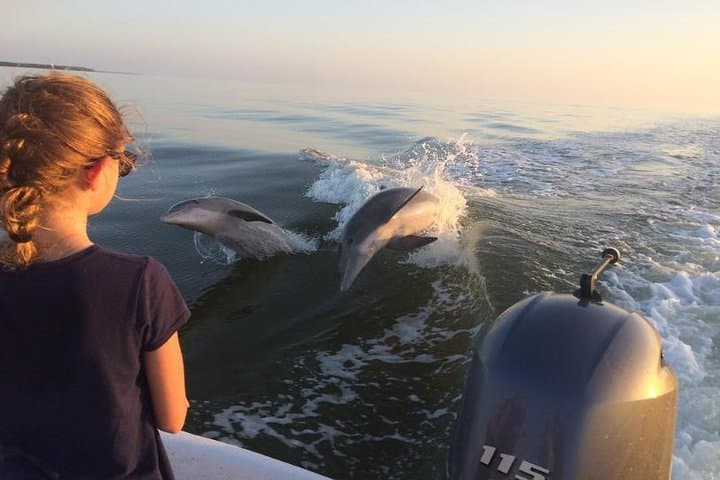 Exploring the Everglades: Small Group Motorboat Eco Tour Adventure