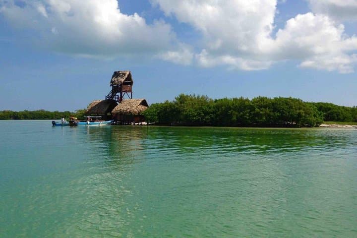 Holbox Day Trip: Isla de la Pasión & Cenote Yalahau from Cancún photo 5
