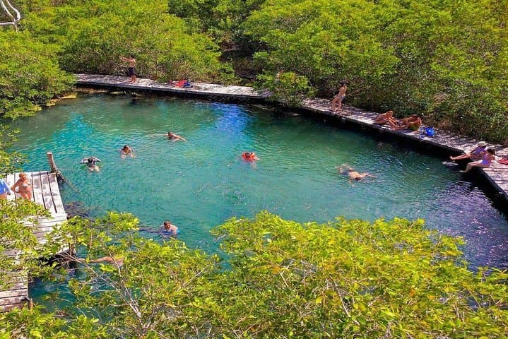 Day trip to Holbox: Yalahau Cenote, Isla Pasión & Punta Mosquito photo 3