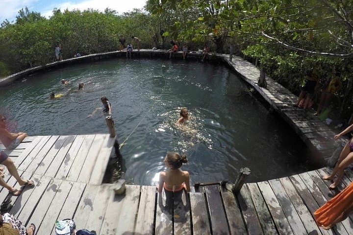 Day trip to Holbox: Yalahau Cenote, Isla Pasión & Punta Mosquito photo 5