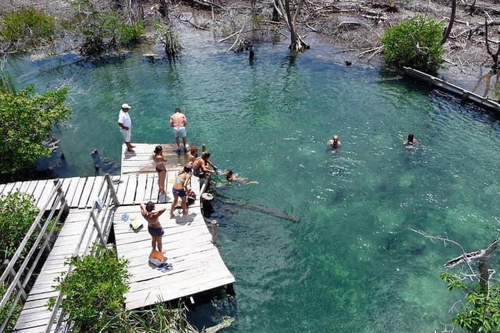 Day trip to Holbox: Yalahau Cenote, Isla Pasión & Punta Mosquito photo 6