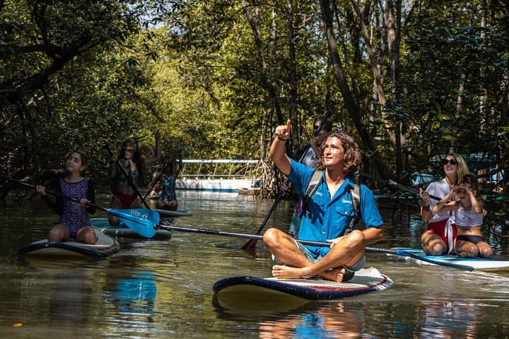 Paddle Board Mangrove Tour — Damas Island SUP through Quepos Mangroves