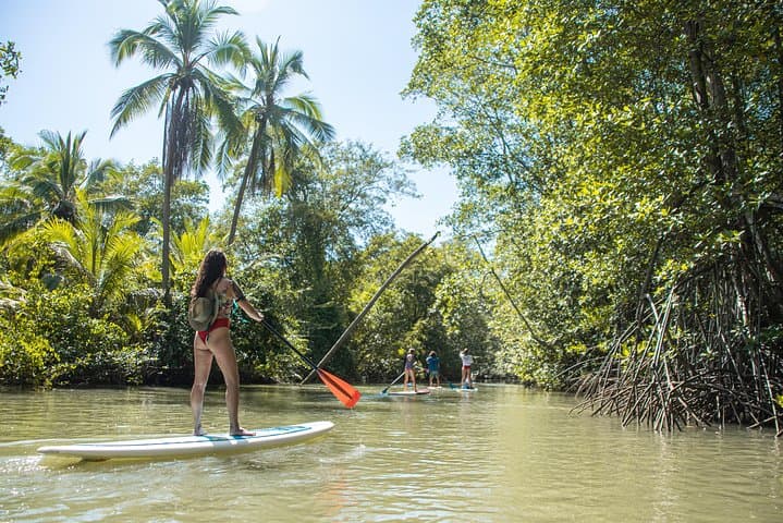 Paddle Board Mangrove Tour — Damas Island SUP through Quepos Mangroves photo 2