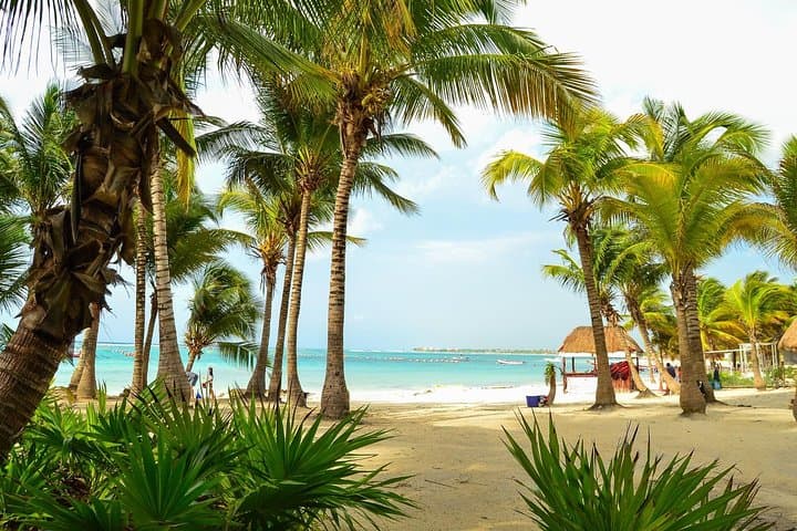 Akumal & Cenote Snorkel: Swim with Sea Turtles from Tulum photo 4