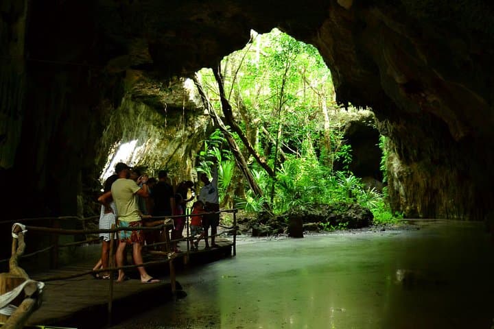 Akumal & Cenote Snorkel: Swim with Sea Turtles from Tulum photo 5