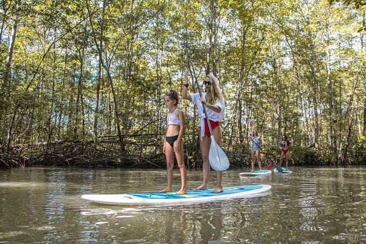Paddle Board Mangrove Tour — Damas Island SUP through Quepos Mangroves photo 5
