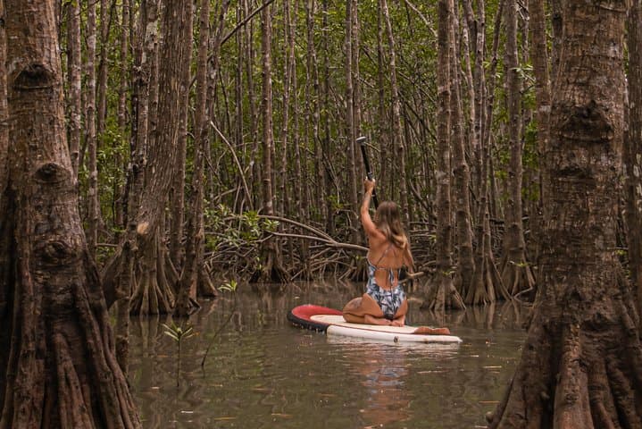 Paddle Board Mangrove Tour — Damas Island SUP through Quepos Mangroves photo 6