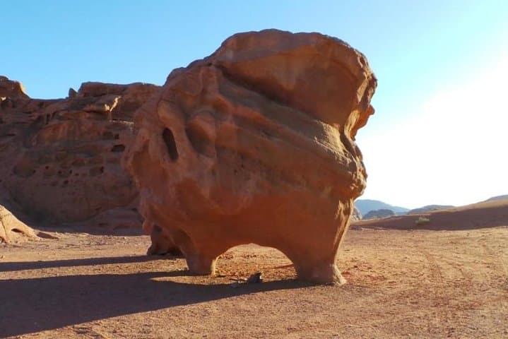 8-Day Private Jordan Tour: Petra, Wadi Rum & Dead Sea – Customizable Itinerary photo 6