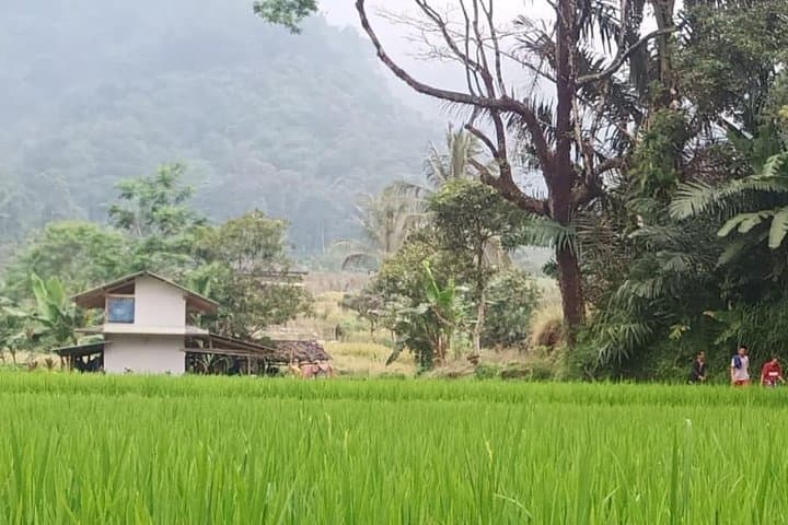 Kawah Putih & Papandayan: 2-Day Volcano, Hot Springs and Kampung Naga Cultural Tour photo 6