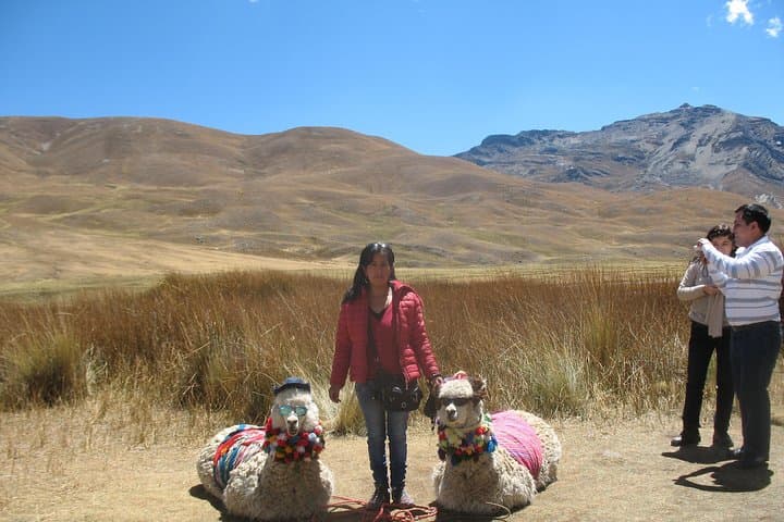 Pastoruri Glacier Private Day Trip from Huaraz — Full-Day High-Altitude Glacier Experience photo 6