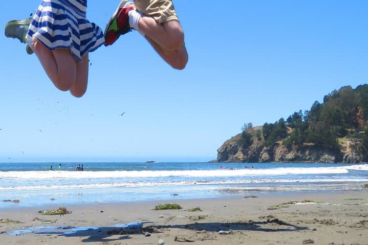 Private Half-Day Tour: Alcatraz, Muir Woods & Sausalito — Skip-the-Line Access photo 2