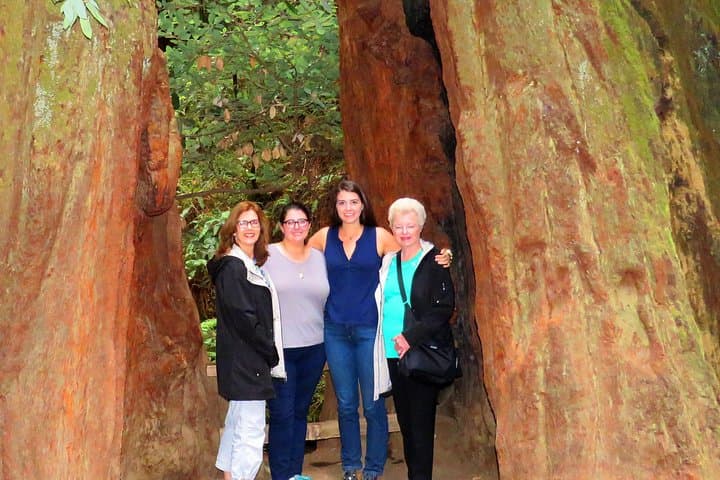 Private Half-Day Tour: Alcatraz, Muir Woods & Sausalito — Skip-the-Line Access photo 6