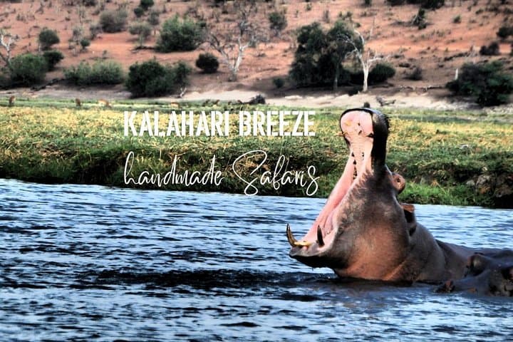 Full-Day Chobe Safari from Victoria Falls — 3hr Boat & 4x4 Game Drive with Floating Lunch photo 3