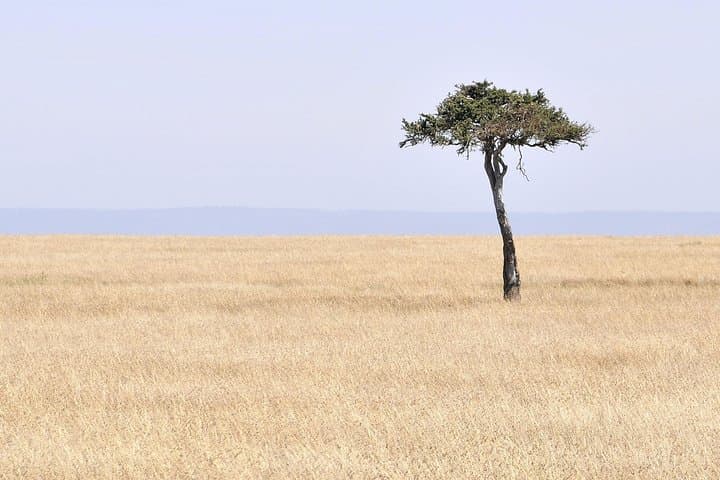 3-Day Maasai Mara Safari: Big Five, Migration & Maasai Village Experience photo 3