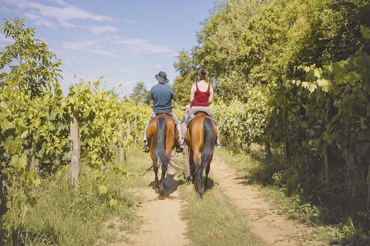 Horseback Riding and Tuscan Picnic in Val d'Orcia and Valdichiana