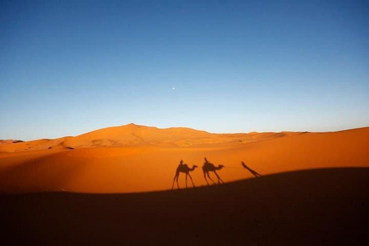 Merzouga Quad Adventure: 1-Hour ATV Ride in Erg Chebbi Dunes