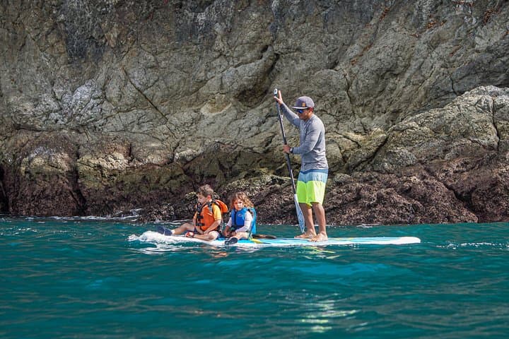 Manuel Antonio Coastline Paddle Board Tour: Paddle Volcanic Cliffs & Island Birdlife photo 4
