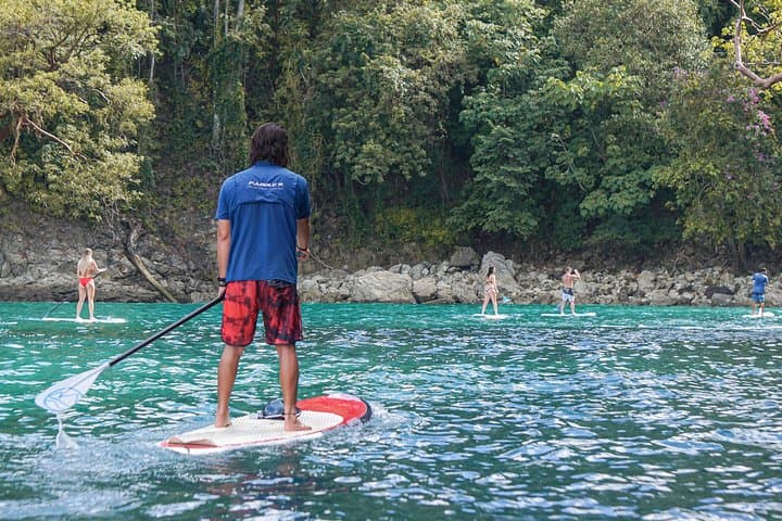 Manuel Antonio Coastline Paddle Board Tour: Paddle Volcanic Cliffs & Island Birdlife photo 5