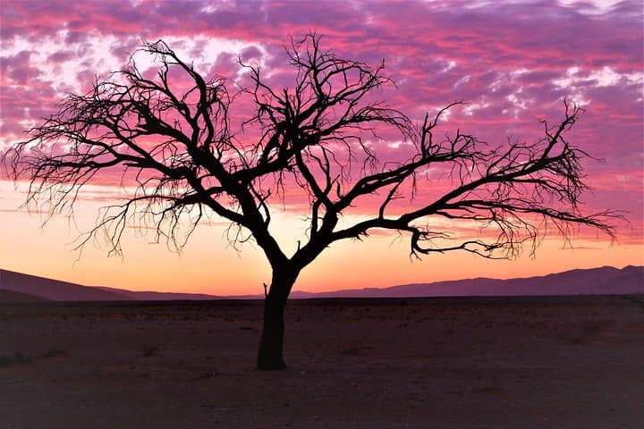 Two Days in Sossusvlei: Private Camping, Deadvlei Sunrise & Giant Dunes photo 3