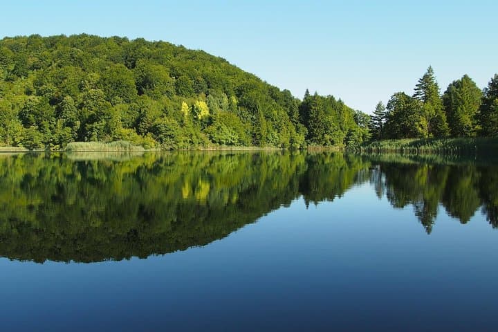 Private Day Trip to Plitvice Lakes from Dubrovnik — Full-Day Park Tour photo 3