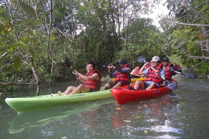 Pulau Ubin Mangrove Kayaking: Beginner-Friendly Paddling from Singapore photo 2