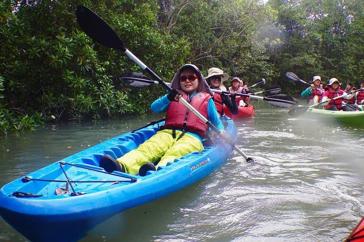 Pulau Ubin Mangrove Kayaking: Beginner-Friendly Paddling from Singapore photo 3