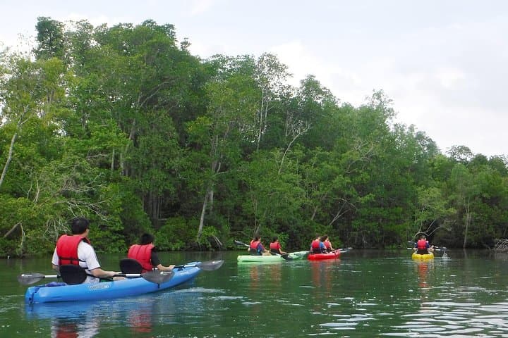 Pulau Ubin Mangrove Kayaking: Beginner-Friendly Paddling from Singapore photo 4